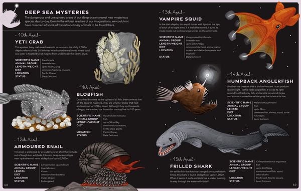 Produktbild: An Animal a Day