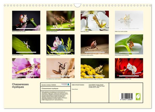 Produktbild: Chasseresses mystiques (Calendrier mural 2026 DIN A3 vertical), CALVENDO calendrier mensuel