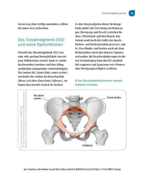Produktbild: Der kleine Coach f&uuml;r Ischias und ISG