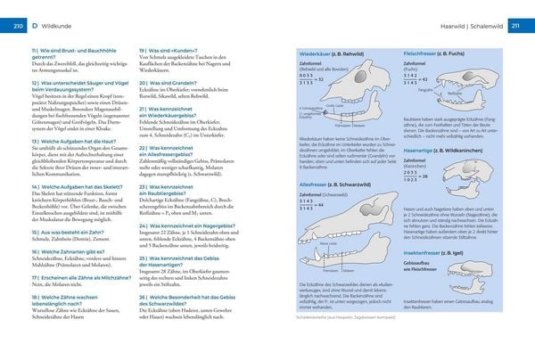 Produktbild: Vor und nach der J&auml;gerpr&uuml;fung