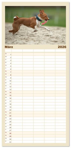 Produktbild: Familienplaner 2026 - Der Basenji mit 5 Spalten (Wandkalender, 21 x 45 cm) CALVENDO