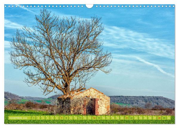 Produktbild: Solitude verdoyante (Calendrier mural 2026 DIN A3 vertical), CALVENDO calendrier mensuel