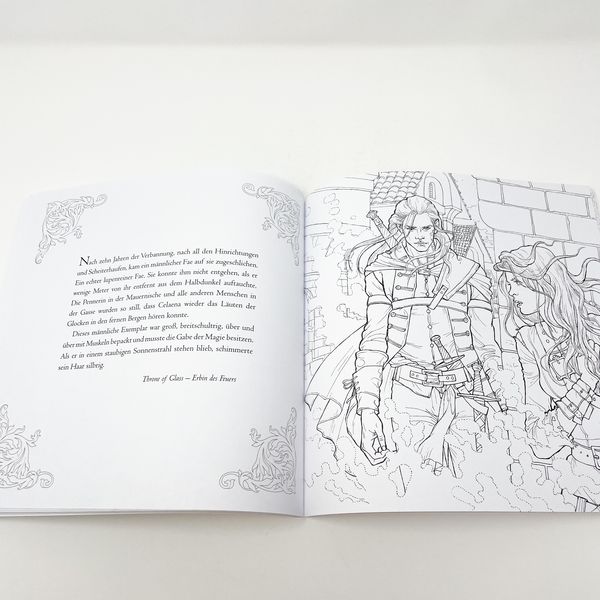 Das große Throne of Glass-Fanbuch