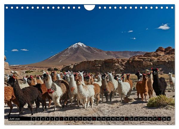 Produktbild: Bolivien Andenlandschaften (Wandkalender 2026 DIN A4 quer), CALVENDO Monatskalender