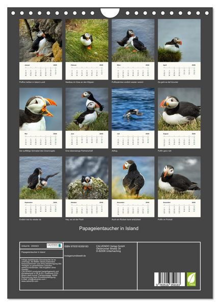 Produktbild: Papageientaucher in Island (Wandkalender 2026 DIN A4 hoch), CALVENDO Monatskalender