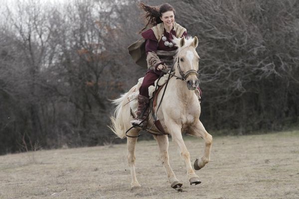 Produktbild: Wikinger Saga Box [2 DVDs]