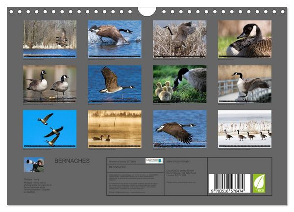 Produktbild: BERNACHES (Calendrier mural 2026 DIN A4 vertical), CALVENDO calendrier mensuel