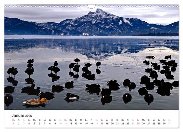Produktbild: Zauberhaftes Mondseeland (Wandkalender 2026 DIN A3 quer), CALVENDO Monatskalender