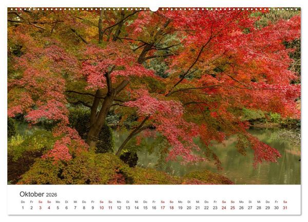 Produktbild: Japanischer Herbst und Laub (Wandkalender 2026 DIN A2 quer), CALVENDO Monatskalender