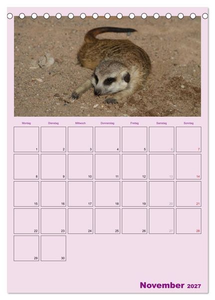 Produktbild: Erdm&auml;nnchen / Terminplaner (Tischkalender 2027 DIN A5 hoch), CALVENDO Monatskalender