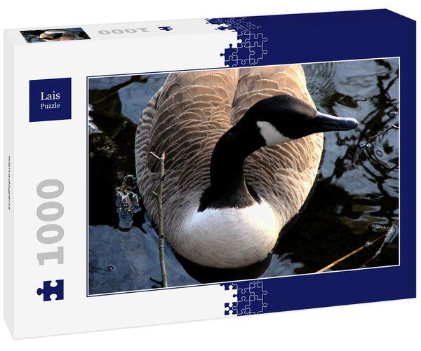 Produktbild: Lais Puzzle Kanadagans 1000 Teile