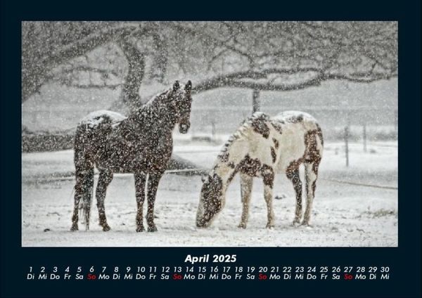 Produktbild: Winterzauber 2025 Fotokalender DIN A4