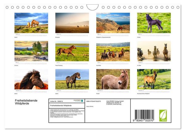 Produktbild: Freiheitsliebende Wildpferde (Wandkalender 2026 DIN A4 quer), CALVENDO Monatskalender