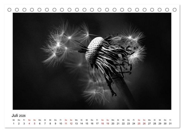 Produktbild: Die grafische Sch&ouml;nheit der Pflanzen &ndash; Schwarz-Wei&szlig; (Tischkalender 2026 DIN A5 quer), CALVENDO Monatskalender