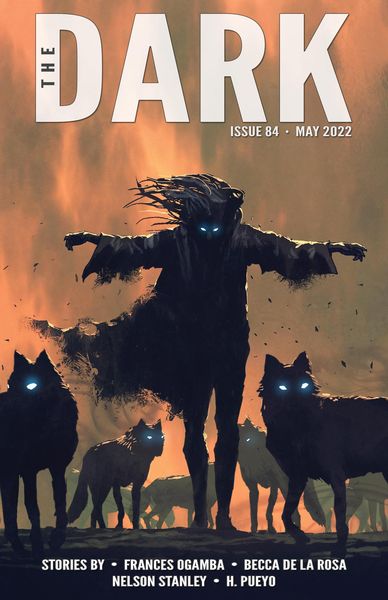 Produktbild: The Dark Issue 84