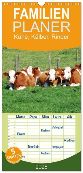 Familienplaner 2026 - Kühe, Kälber, Rinder mit 5 Spalten (Wandkalender, 21 x 45 cm) CALVENDO