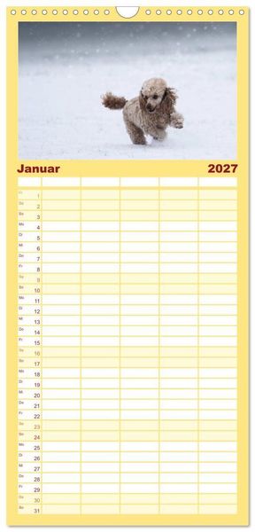 Produktbild: Familienplaner 2027 - Lockenw&ouml;lfe - Energieb&uuml;ndel Pudel mit 5 Spalten (Wandkalender, 21 x 45 cm) CALVENDO