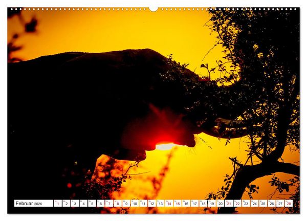 Produktbild: Elefanten-Traum - Herzenssache Afrika (Wandkalender 2026 DIN A2 quer), CALVENDO Monatskalender