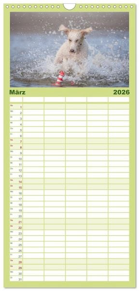 Produktbild: Familienplaner 2026 - POWERHUNDE 2026 mit 5 Spalten (Wandkalender, 21 x 45 cm) CALVENDO