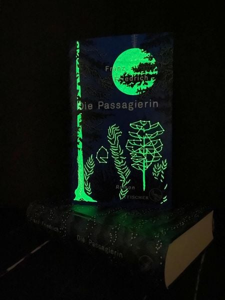 Produktbild: Die Passagierin