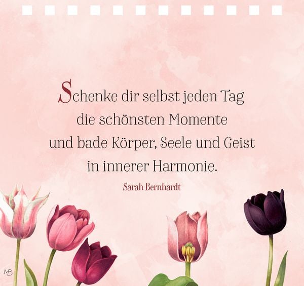 Produktbild: Zauberhafte Momente f&uuml;r jeden Tag
