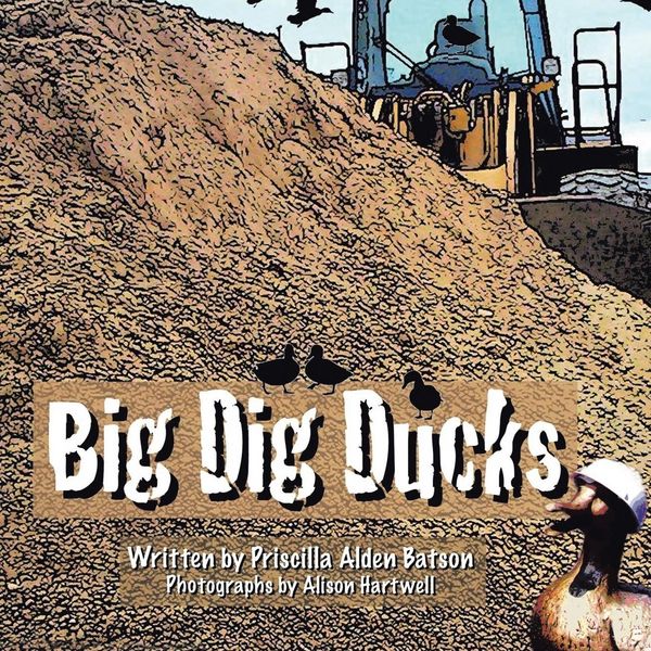 Produktbild: Big Dig Ducks