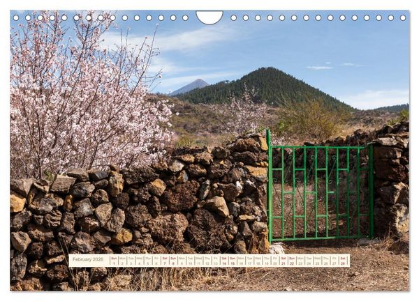 Produktbild: Magical Tenerife (Wall Calendar 2026 DIN A4 landscape), CALVENDO 12 Month Wall Calendar