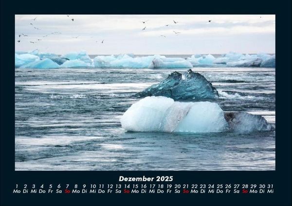 Produktbild: V&ouml;gel 2025 Fotokalender DIN A4