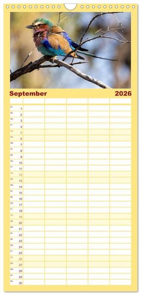 Produktbild: Familienplaner 2026 - Komm mit auf Safari! Botswana und S&uuml;dafrika mit 5 Spalten (Wandkalender, 21 x 45 cm) CALVENDO