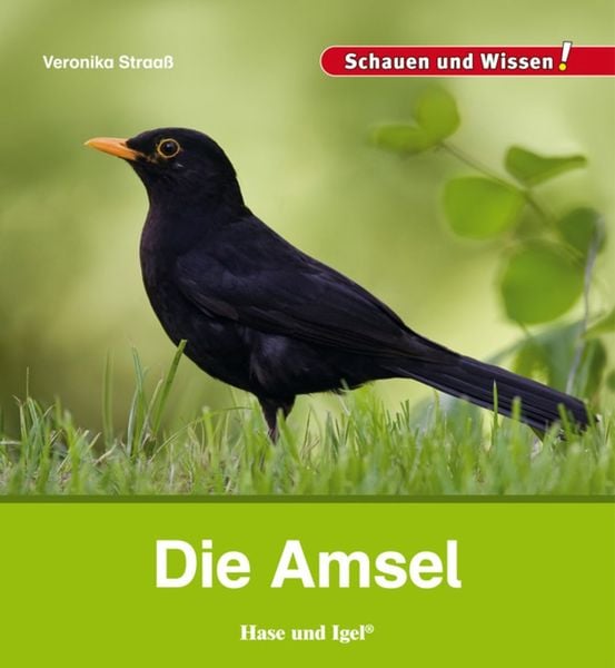 Produktbild: Die Amsel