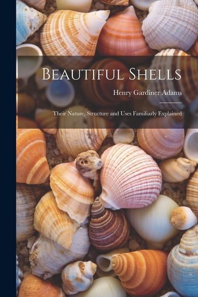 Produktbild: Beautiful Shells: Their Nature, Structure and Uses Familiarly Explained