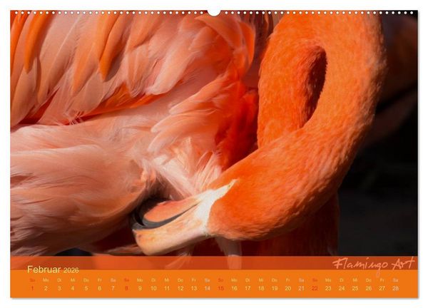 Produktbild: Flamingo Art 2026 (Wandkalender 2026 DIN A2 quer), CALVENDO Monatskalender
