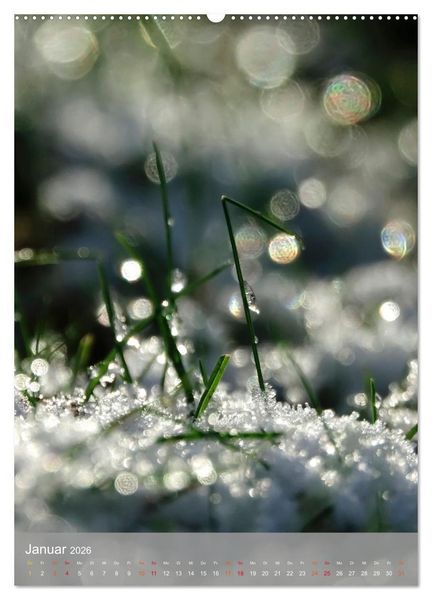 Produktbild: Mit Bokeh-Fotografie durch das Jahr (Wandkalender 2026 DIN A2 hoch), CALVENDO Monatskalender