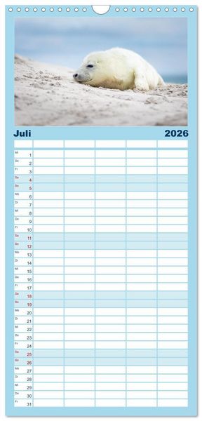 Produktbild: Familienplaner 2026 - Junge Kegelrobben mit 5 Spalten (Wandkalender, 21 x 45 cm) CALVENDO