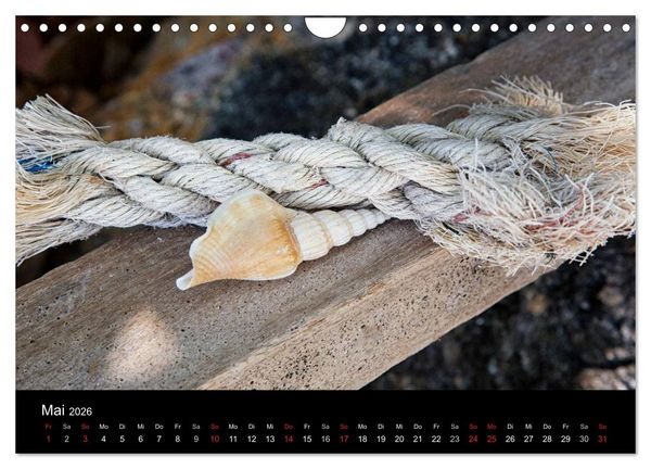 Produktbild: Strandgut und Meer 2026 (Wandkalender 2026 DIN A4 quer), CALVENDO Monatskalender