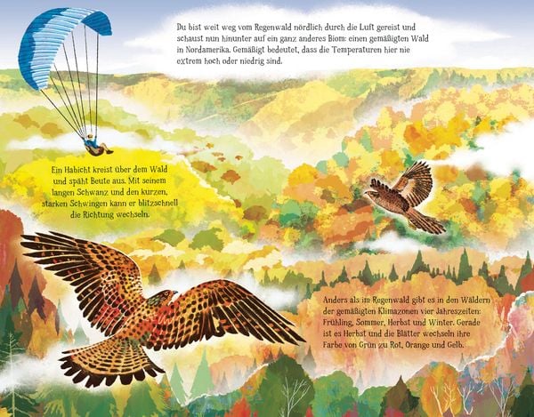 Produktbild: Von der Wurzel bis zum Wipfel