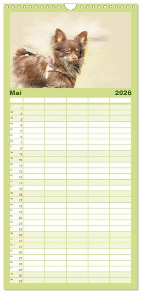 Produktbild: Familienplaner 2026 - Chihuahuas 2026 mit 5 Spalten (Wandkalender, 21 x 45 cm) CALVENDO