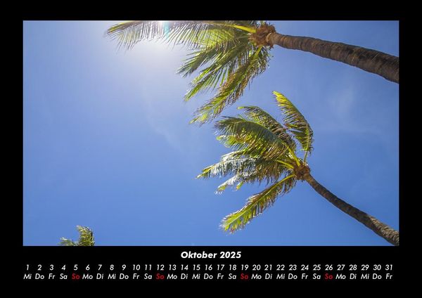 Produktbild: Palmentraum 2025 Fotokalender DIN A3