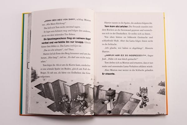 Produktbild: Minecraft Erste Leseabenteuer &ndash; Monster-Alarm