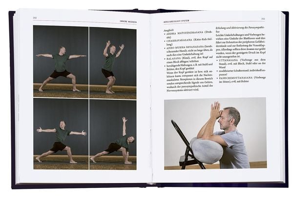 Yoga-Therapie in der Praxis