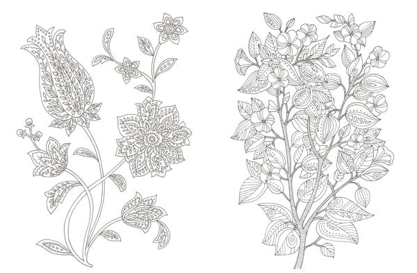 Produktbild: Colorful Mandala &ndash; Botanischer Garten
