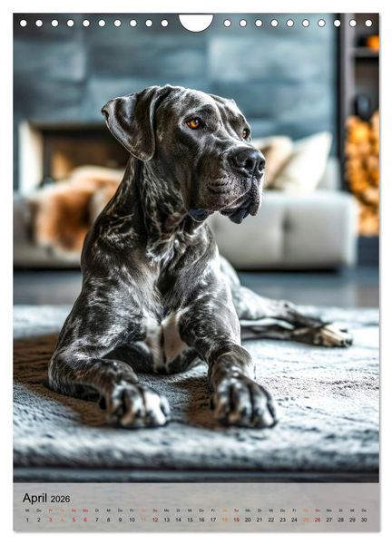 Produktbild: Deutsche Dogge - freundlicher Riese (Wandkalender 2026 DIN A4 hoch), CALVENDO Monatskalender
