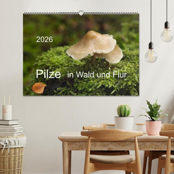 Produktbild: Pilze in Wald und Flur (Wandkalender 2026 DIN A2 quer), CALVENDO Monatskalender