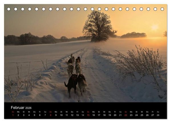 Produktbild: Huskys (Tischkalender 2026 DIN A5 quer), CALVENDO Monatskalender