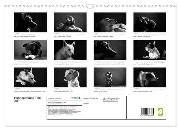 Produktbild: Hundeportraits Fine Art (Wandkalender 2026 DIN A3 quer), CALVENDO Monatskalender