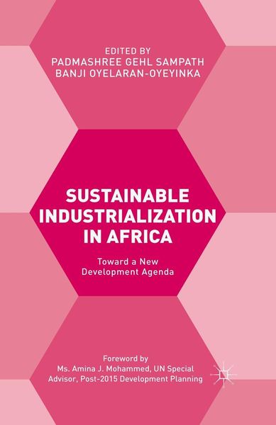 Produktbild: Sustainable Industrialization in Africa