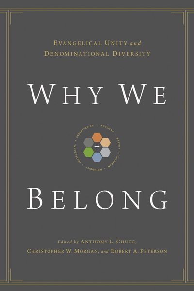 Produktbild: Why We Belong