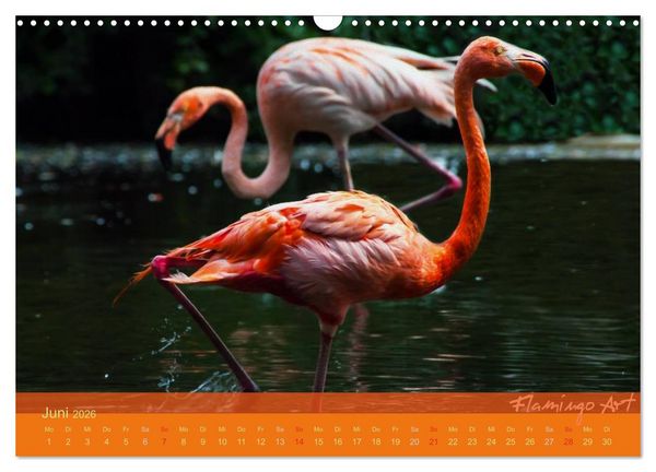Produktbild: Flamingo Art 2026 (Wandkalender 2026 DIN A3 quer), CALVENDO Monatskalender