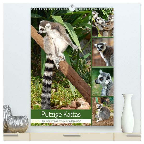 Produktbild: Putzige Kattas (hochwertiger Premium Wandkalender 2026 DIN A2 hoch), Kunstdruck in Hochglanz