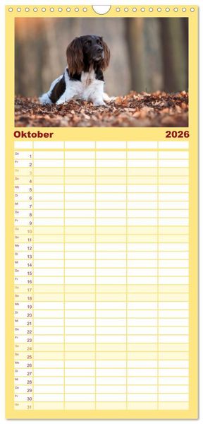 Produktbild: Familienplaner 2026 - Passion Jagdhund - Kleiner M&uuml;nsterl&auml;nder mit 5 Spalten (Wandkalender, 21 x 45 cm) CALVENDO